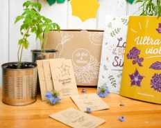 Box-Jardinage-Photo-Ultra-Violet-1