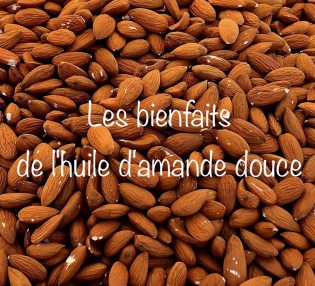 26346409_1423163117812502_4326509239469080576_n_002