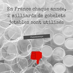 bio, bouillote, ecologie, environnement, shampoing solide