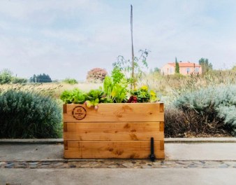 alloicimaman jardinière