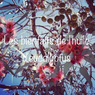 25011464_376694106134269_3260724976256286720_n