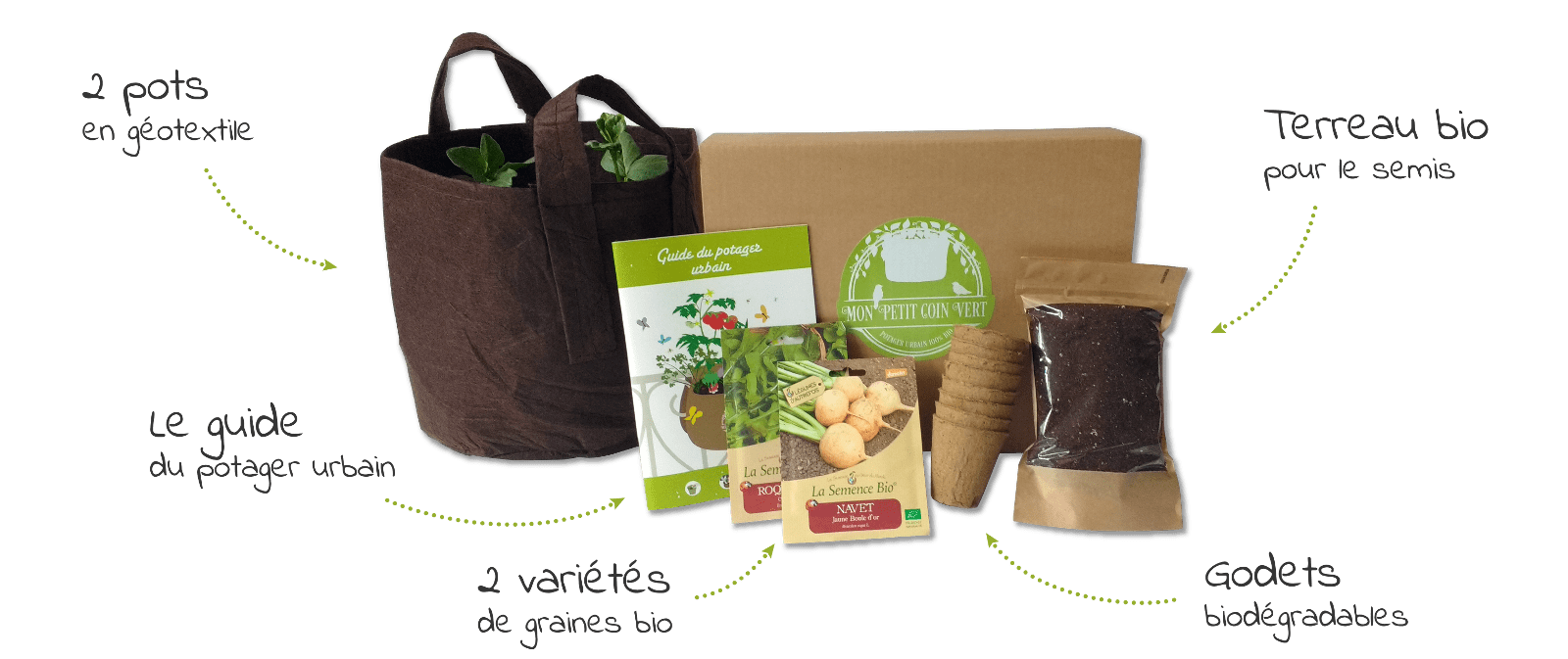 Banniere_Box_Web_Transp_small