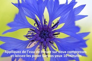 bleuet soin des yeux2