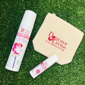 beauty party, bio, communauté bio, lyon, soirée blogueuse, alloicimaman