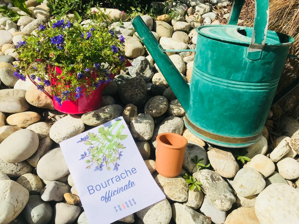 Jardinage facile avec Pousse&nbsp;Pousse