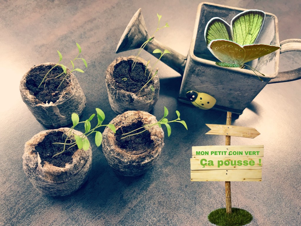Jardinage bio avec Mon Petit Coin&nbsp;Vert
