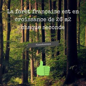 bio, bouillote, ecologie, environnement, shampoing solide